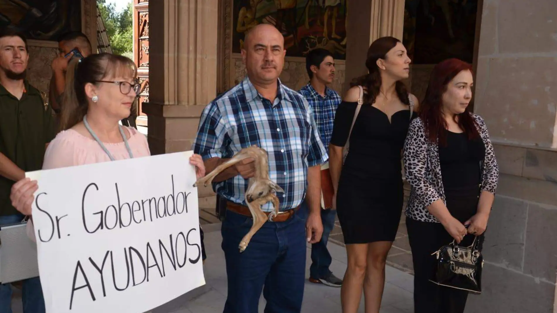 protesta venados